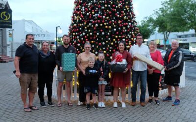 Matamata Christmas Tree